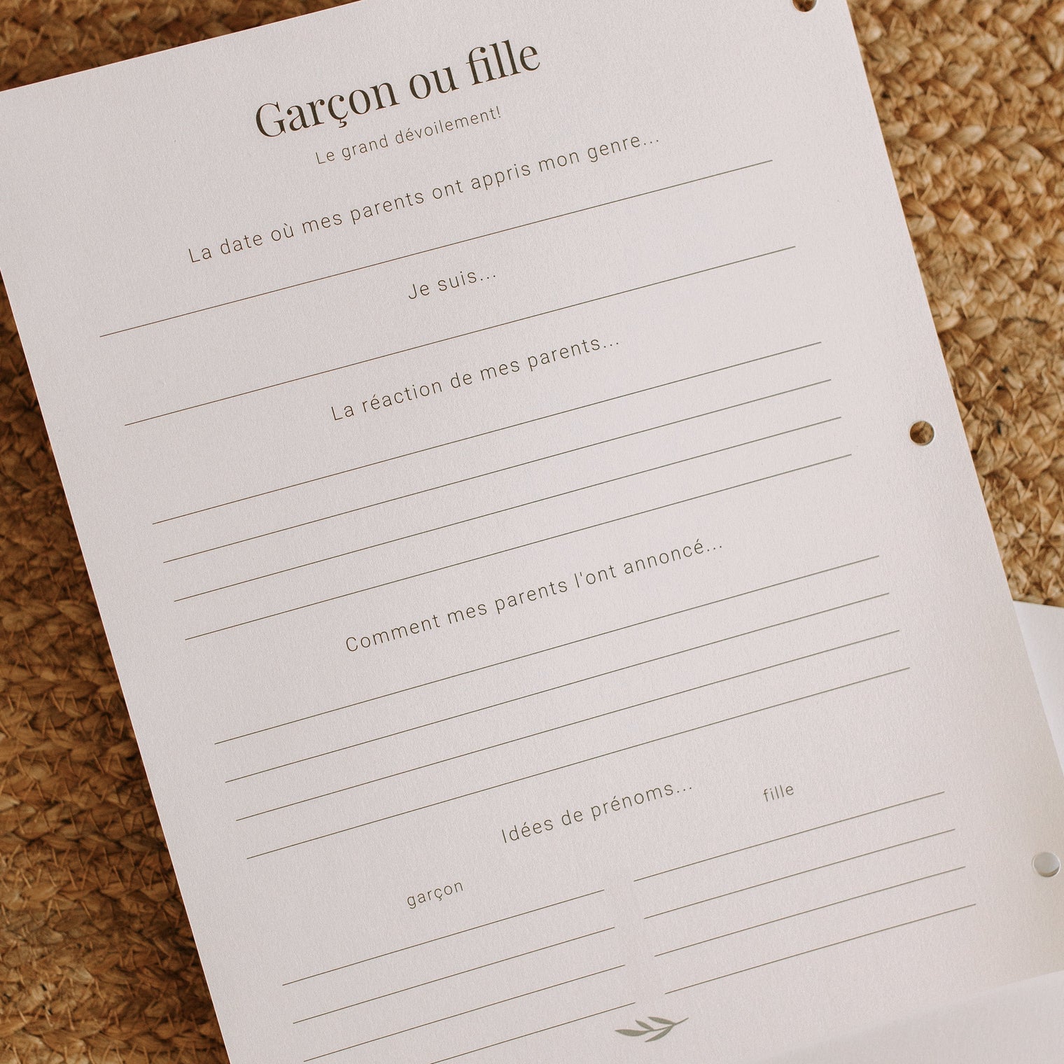 Pages de remplacement - Livre de bébé