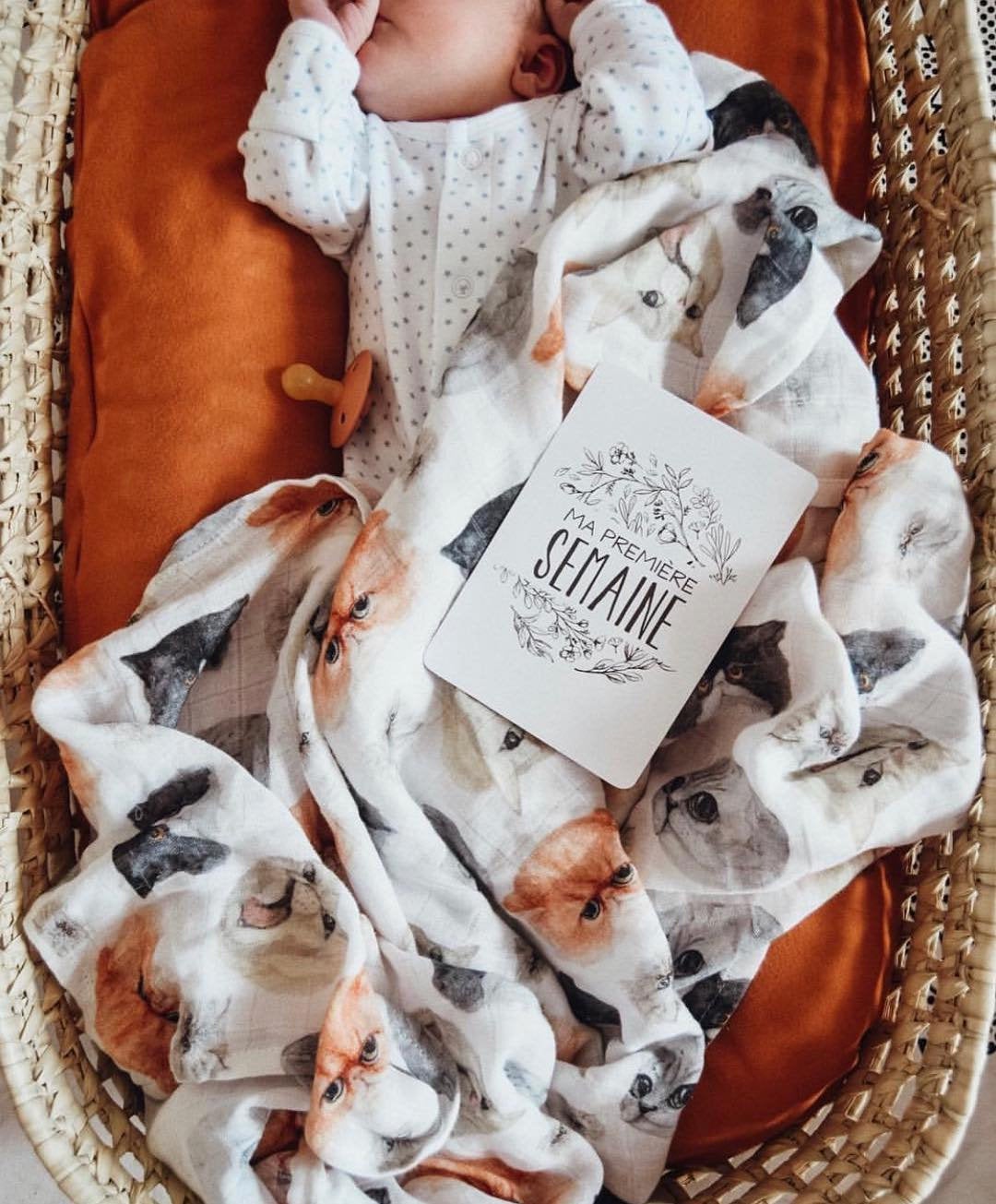 Coffret Fleurs 0-1 an