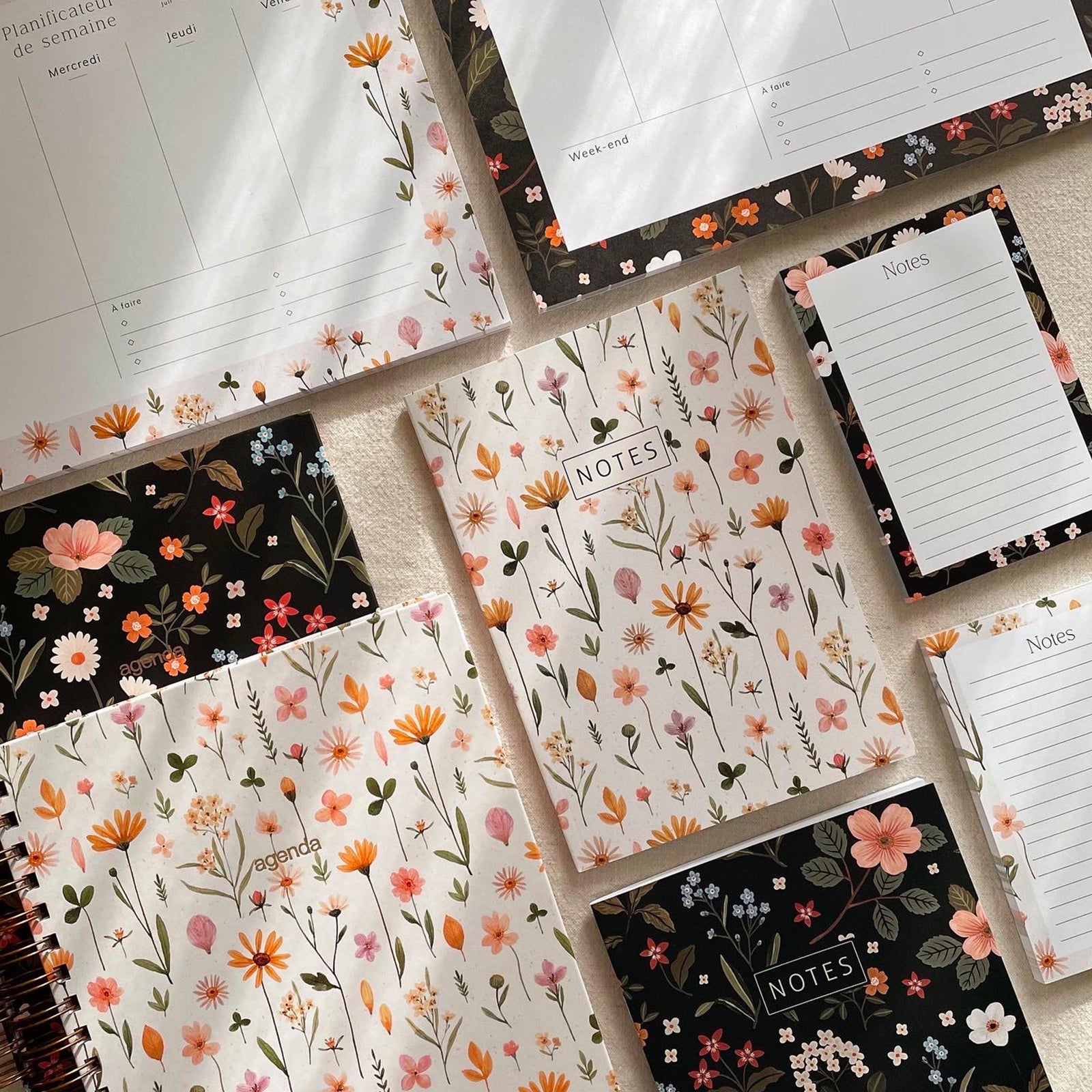 Collection papeterie - Le Petit Tableau Noir x Joannie Houle