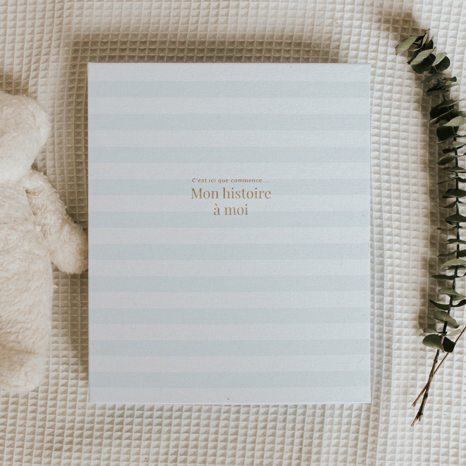 Livre de bébé - Ligné Bleu