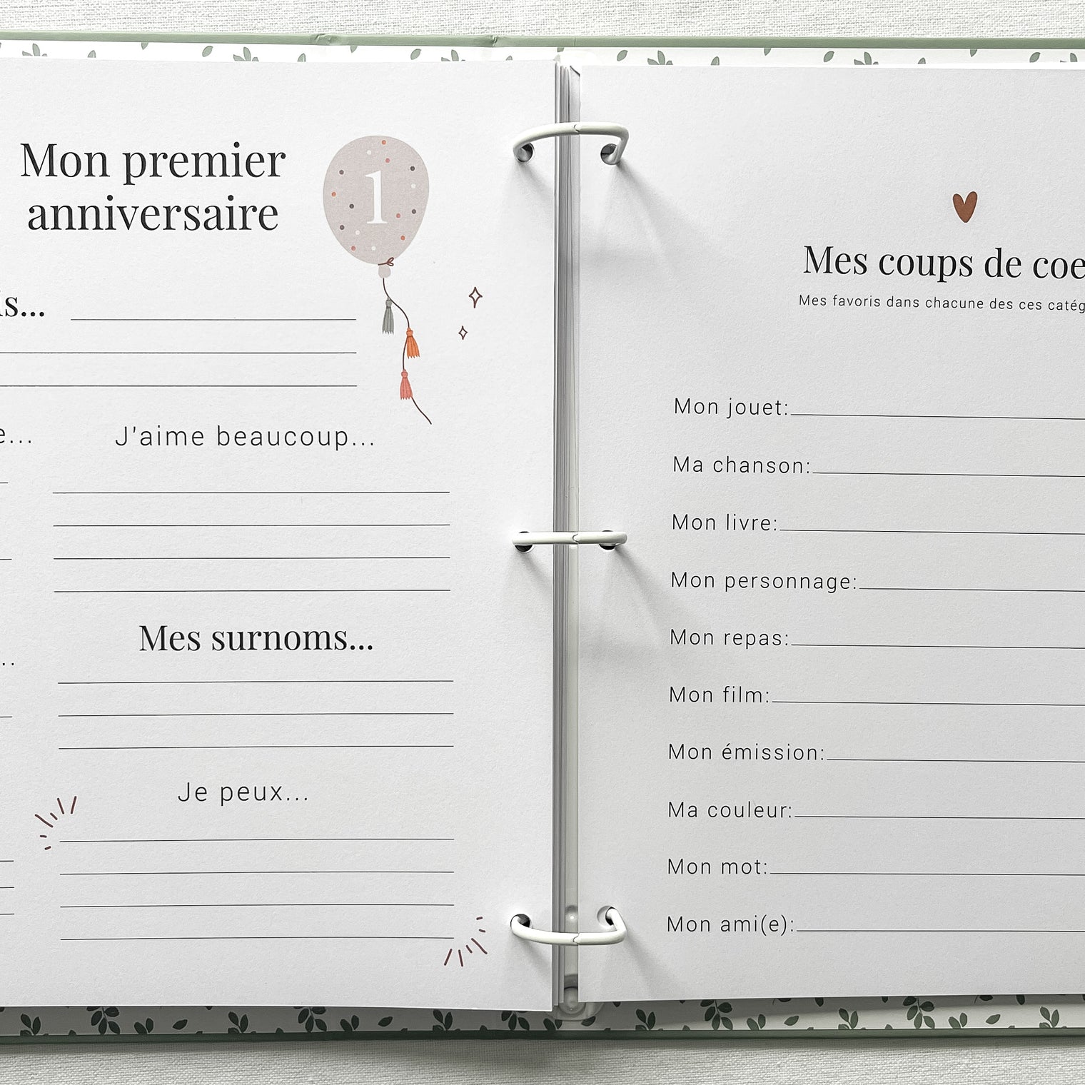 Livre bébé, Journal bébé, Planificateur de grossesse, Journal de grossesse, Cadeau de nouvelle maman, Baby Shower, Cadeau de shower, Cadeau de grossesse, Future maman, Souvenirs, mon histoire à moi, Album de bébé, Livre souvenirs, Livre cartable de bébé, Designer au Québec, Sauge
